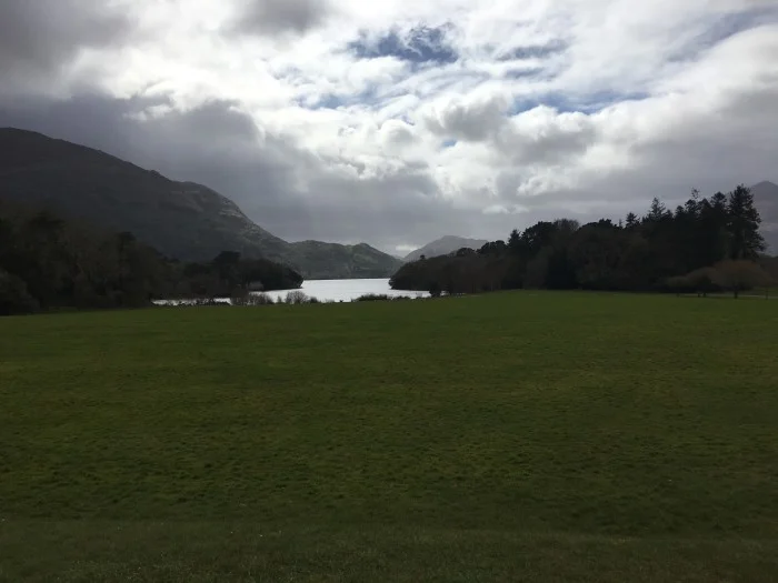  ireland muckross backyard 
