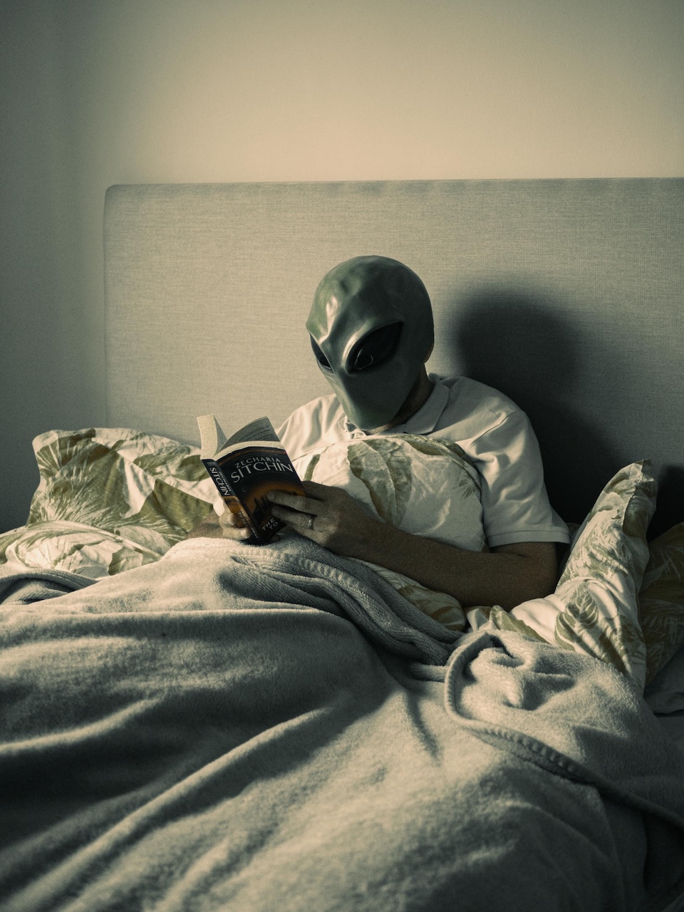 grey alien in bed reading a book