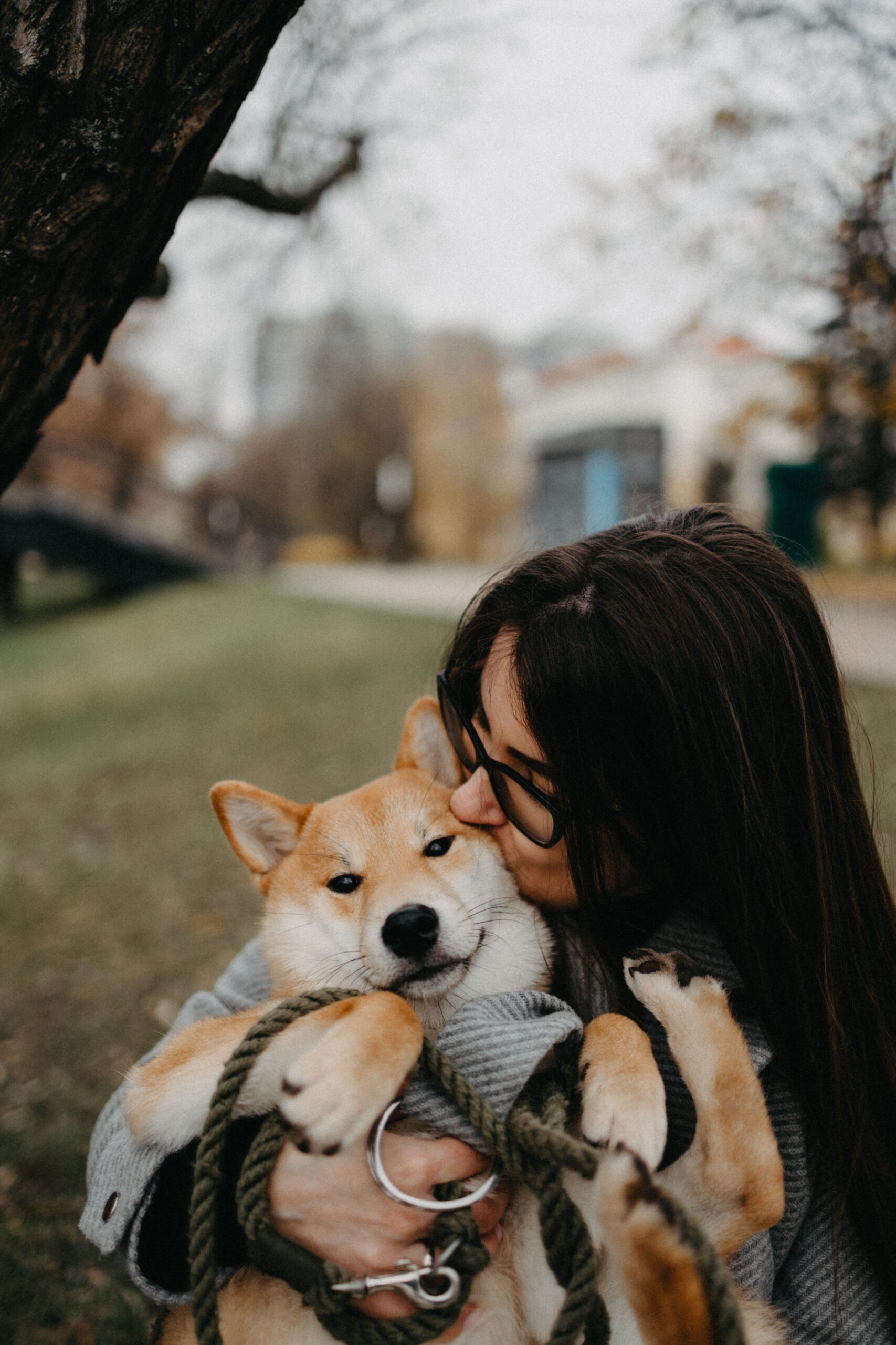 doggie parenting