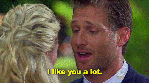  i like you a lot gif 