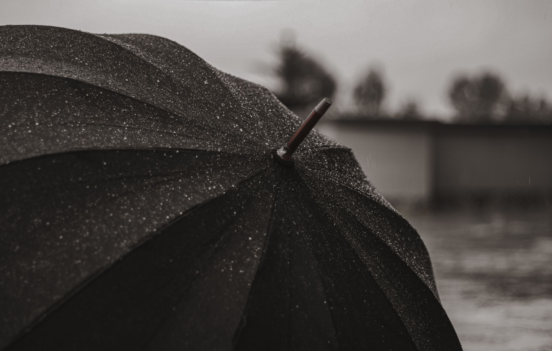 moody black umbrella
