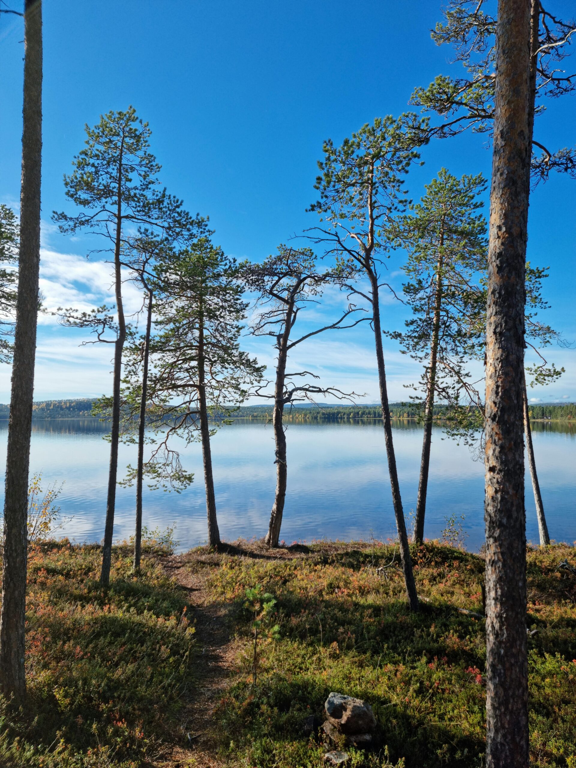 Image of a Finnish lake